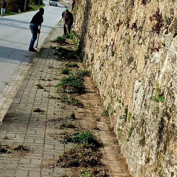 CONTROLO DE VEGETAÇÃO
